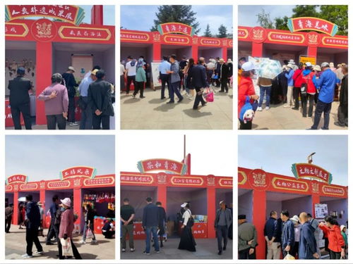 多彩非遺薈萃 傳統(tǒng)文化彰顯時(shí)代魅力——2023年青海省文化和自然遺產(chǎn)日暨非遺購物節(jié)圓滿落幕