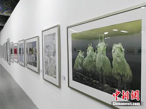 雞西版畫晉京展，黑土地藝術(shù)之花綻放北京